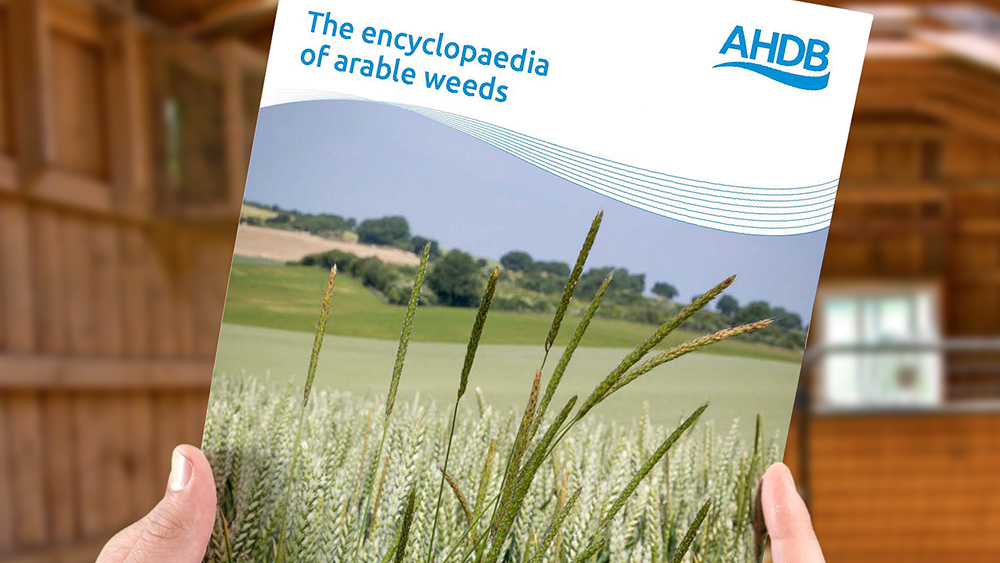 Encyclopaedia of arable weeds 